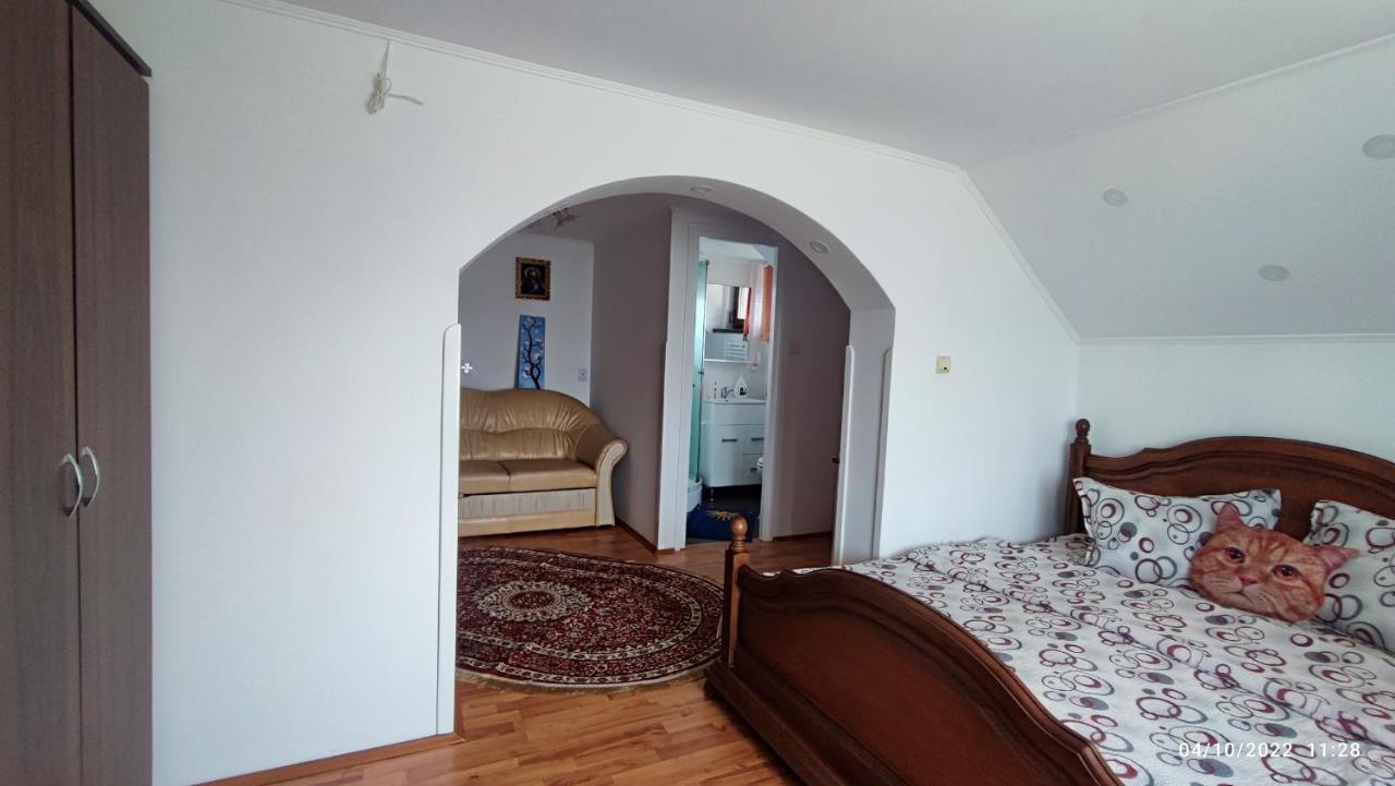 Dariamaf Apartman Moldvahosszúmező Kültér fotó